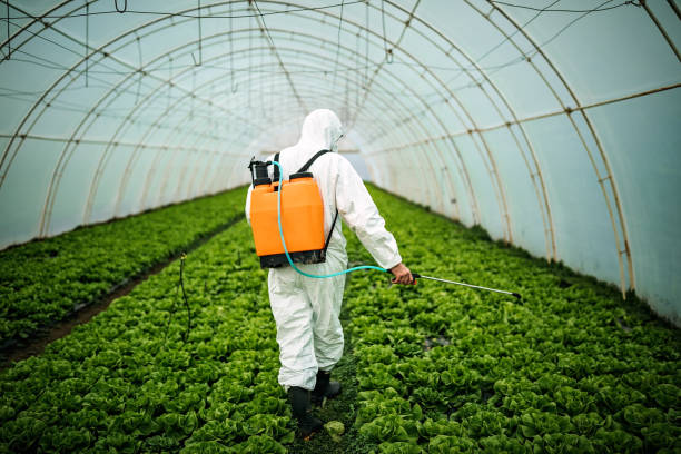 Professional Pest Control in England, AR
