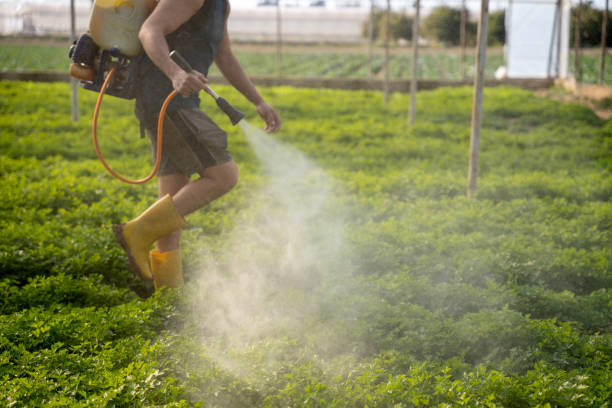 Best Best Pest Control Companies  in England, AR