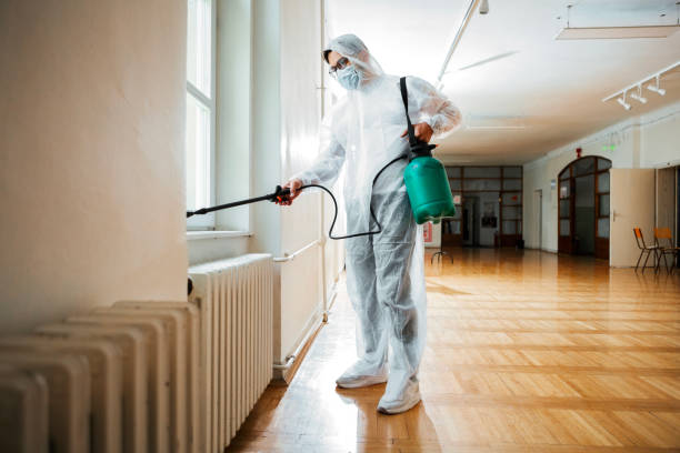 Best Bed Bug Extermination  in England, AR